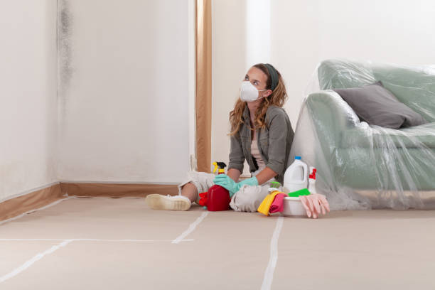 Reliable Commercial Mold Remediation contractor in Ada, MN by WQB Mold Removal
